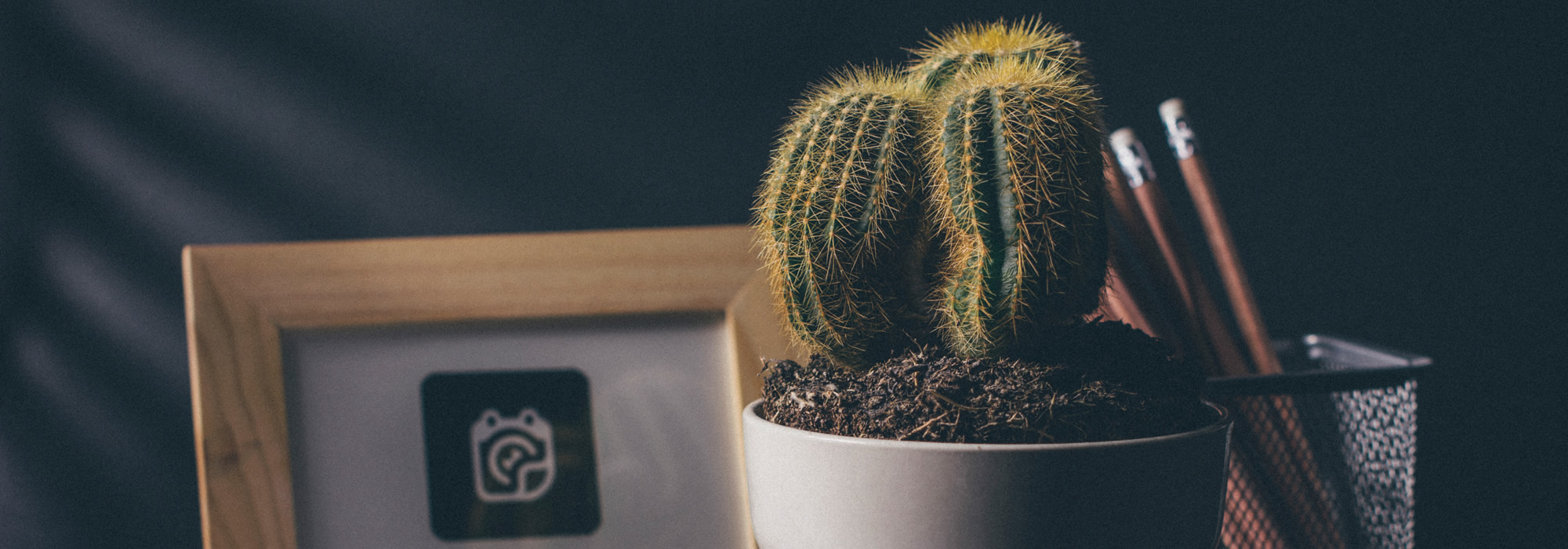 ポータルサイト